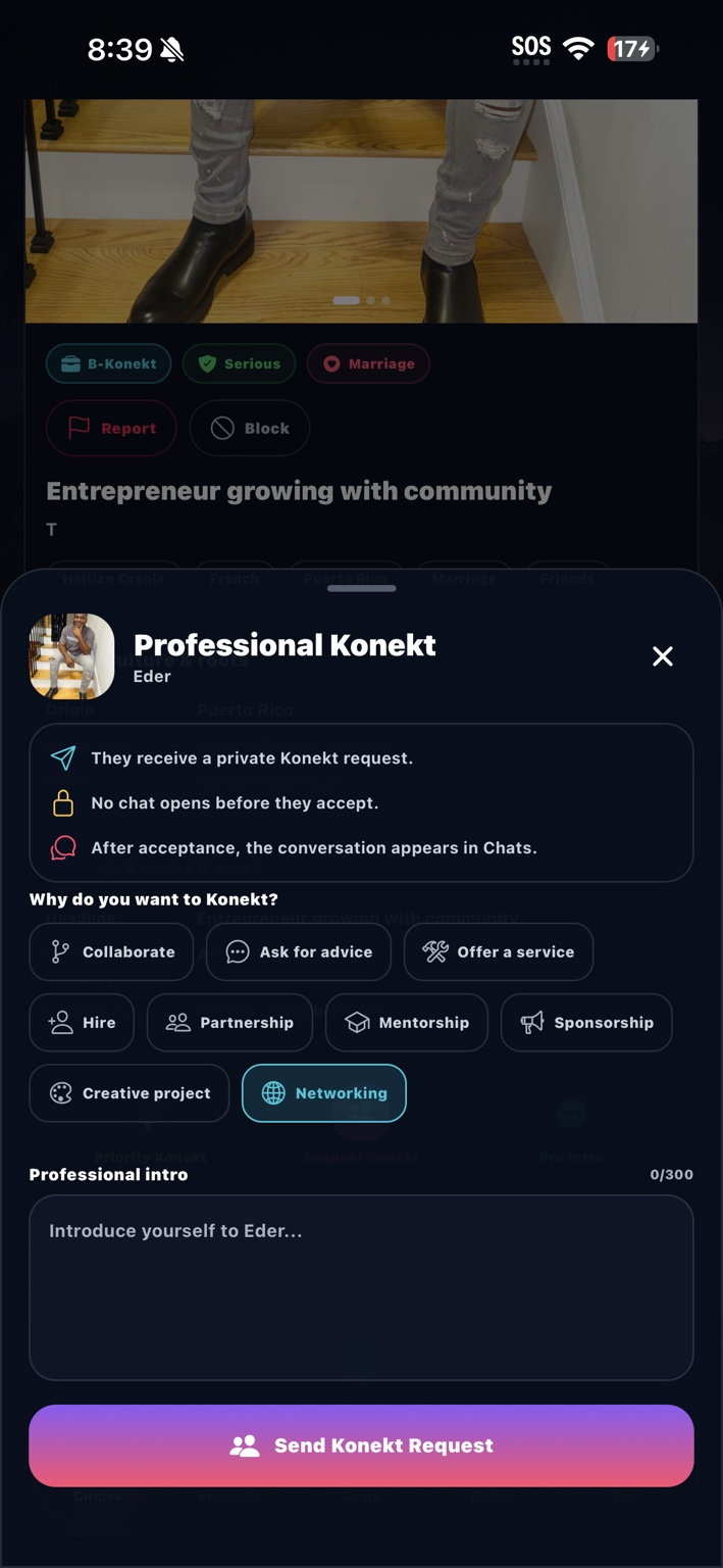Koneksyon professional connection interface